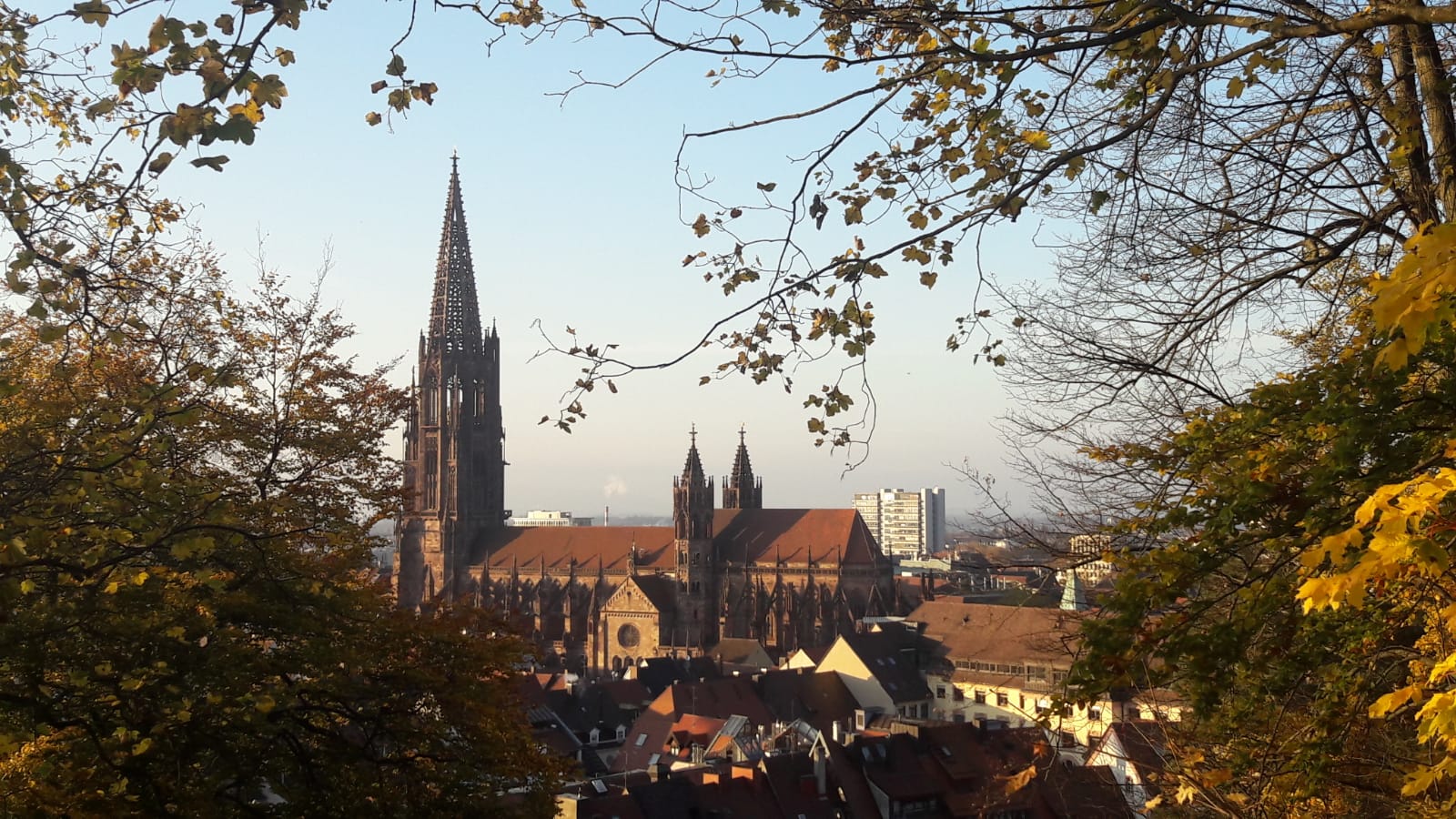 Blick vom Schlossberg auf das Freiburger Münster